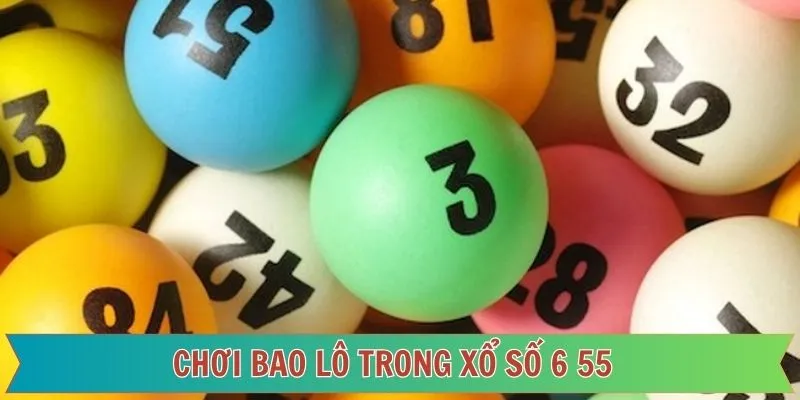 Áp dụng chiến thuật khi tham gia lô đề 6 55